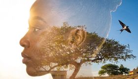 Documentário “Quilombo Lunga e as Batukadeiras de Cabo Verde” será lançado na Festa do Meado de Agosto