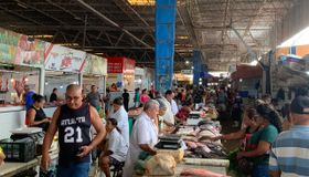 Comida no lixo: o crônico descaso com o Mercado da Produção