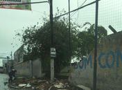 Chuva provoca o desabamento parcial de muro de colégio em Arapiraca