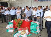 Agricultores da Região Agreste recebem sementes para iniciar o plantio