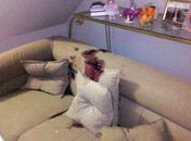 Mulher internada há 129 dias após sofrer atentado do marido morre na UE do Agreste