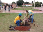 Prefeitura de Arapiraca inicia arborização no Bosque e na Praça da Ufal