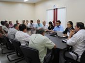 Município planeja criar Polo de Industrialização da Mandioca