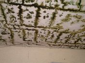 Teto do corredor da Escola Lions