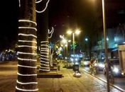 Praças de Arapiraca recebem decoração para o Natal