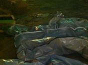 Tragédia em Feira Grande