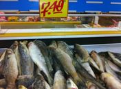 Semana Santa em Arapiraca: Peixe é o produto mais procurado e ovo de páscoa o mais caro