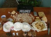 Pelopes apreende 2,5kg de drogas no Bairro Manoel Teles