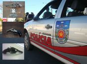 Polícia Militar apreende três armas de fogo no final de semana
