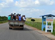 “Paus de araras” continuam circulando livremente pelas rodovias do Agreste