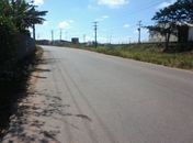 Curva onde idosa morreu atropelada não possui acostamento nem sinalização