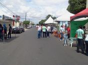 Eleições OAB Arapiraca: Começa votação para escolha da nova diretoria