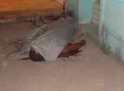 Vendedor de anabolizantes é executado durante emboscada no bairro Primavera