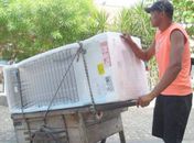 Vendas aquecidas no comércio beneficiam trabalho de fretistas