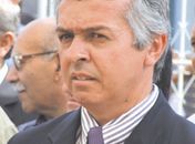 Prefeito de Coité do Nóia é atacado por enxame de abelhas; estado de saúde é grave