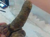 Inhame com formato de pênis chama atenção em Arapiraca