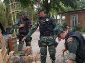 Batalhão Ambiental apreende 205 pássaros silvestres na Feira Livre de Arapiraca