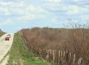 Seca castiga população do Agreste e Sertão de Alagoas