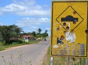 Placas de sinalização viram alvo de atiradores nas rodovias do Agreste
