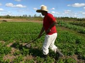 Agricultor de Arapiraca terá casa pagando R$1.140