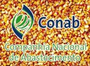 Conab compra 500 toneladas de milho para Arapiraca