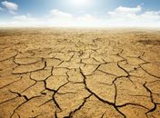 Defesa Civil decreta situação de emergência em Arapiraca 