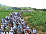 Milhares de pessoas prestigiam Cavalgada do Padre Cícero em Lagoa da Canoa
