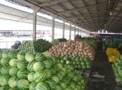 Vereadora sugere construção de Central de Abastecimento em Arapiraca
