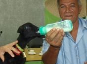 João dos Santos com sua cabra