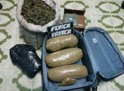 Polícia apreende 9 quilos de maconha dentro de residência no bairro Boa Vista