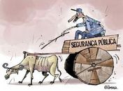 A morte de Camila e nossa seguranca pública