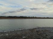 Açude poluído preocupa moradores de Craíbas, que fazem abaixo assinado