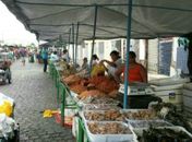 Barracas de madeira das feiras livres de Arapiraca são trocadas