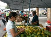 Feira Livre de Arapiraca acontece nesta sexta-feira