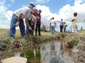Prevenção e tratamento da Esquistossomose serão intensificados em Lagoa da Canoa