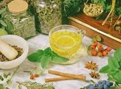 Seminário debate uso de plantas medicinais e fitoterápicos na cura de doenças