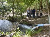 Prefeitura promove reflorestamento de áreas de Mata Atlântica