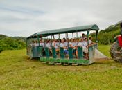 Idosos de Limoeiro de Anadia participam de passeio turístico em Balneário