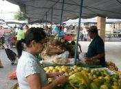 Festa da padroeira altera data da Feira Livre, que será realizada na terça-feira
