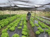 Agricultores de Arapiraca e região serão beneficiados com rodada de negociações