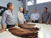 Álvaro Melo e representantes do Estado visitam fábrica de fumo em Lagoa da Canoa