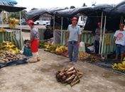 Feira da Reforma Agrária prossegue até este sábado em Arapiraca