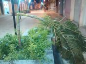 Vândalos destroem jardins de calçadão recém inaugurado em Lagoa da Canoa