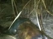 Corpo decapitado é encontrado na zona rural de Arapiraca