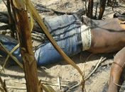 Populares encontram cadáver em decomposição na zona rural de São Sebastião