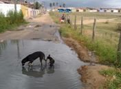 Lagoa de esgoto surge no meio da rua no Bairro Canafístula