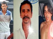Operação policial resulta em prisões e apreensões de armas no Agreste