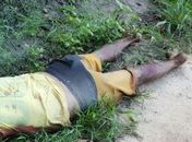 Cadáver é encontrado em estrada vicinal da zona rural de Arapiraca