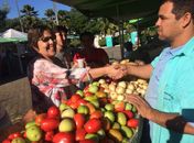 Célia Rocha visita feira da Agricultura Familiar e anuncia nova padronização das barracas