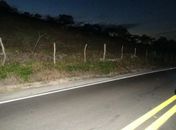 Quatro motociclistas morrem em acidente na AL 115 em Campo Grande
